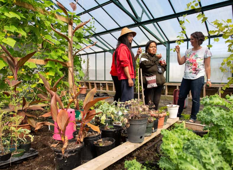 3 people inside a greenhouse.