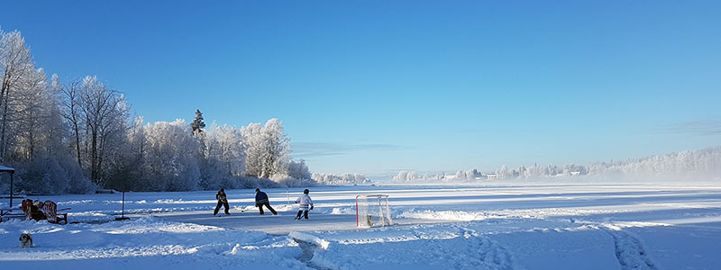 Children skating on a frozen lake.