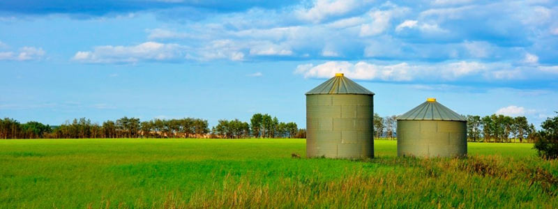 2 grain silos in a green field.