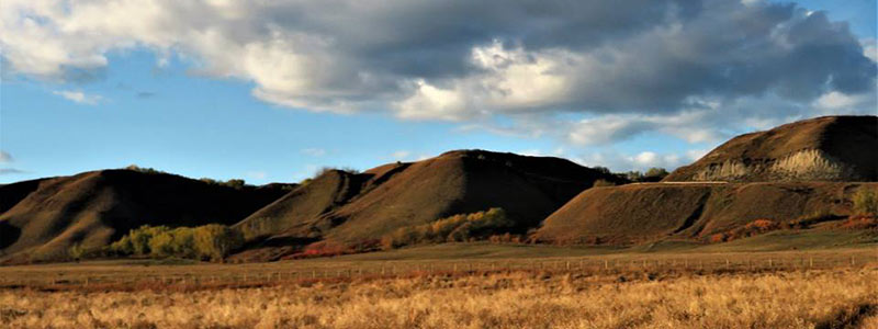 Field with brown hills in the background.