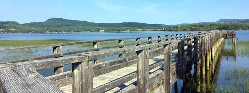 Wooden pier extending into lake.