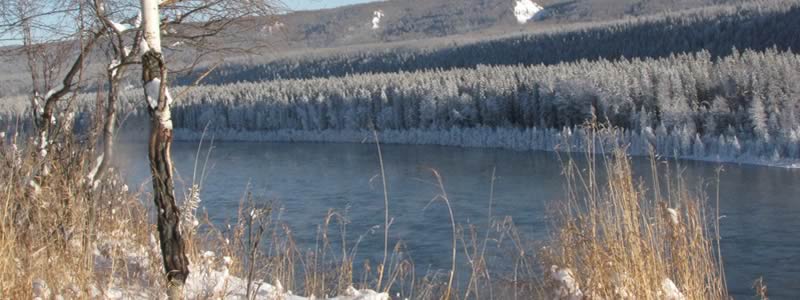 Flowing river in the winter with snow covered trees on the banks.