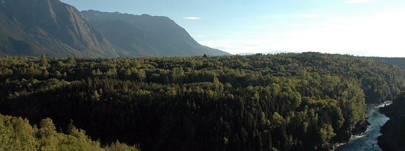 Valley with mountains on the left, a forest and river.