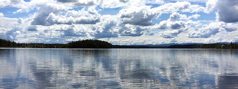 Cluculz lake near Vanderhoof.