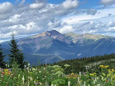 Mountains and vista surrounding Tumbler Ridge during Spring.